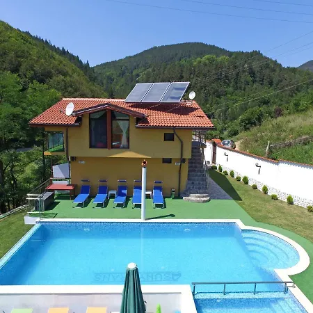 суни транс *