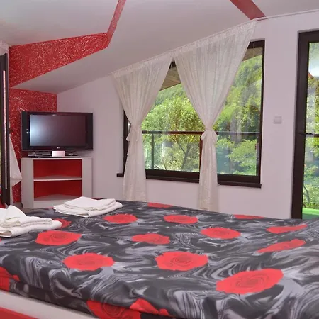 суни транс Смолян