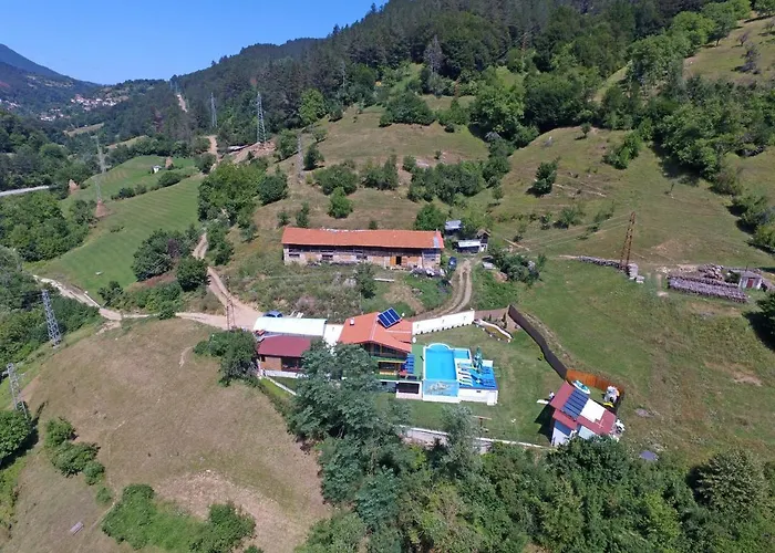 Villa суни транс *